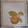 Azulejo Eliane 15x15 - Ref. 685